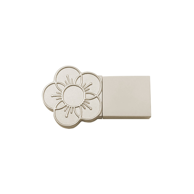 تخصيص شعار الغطاء المعدني USB Stick 2g 2.0 Port