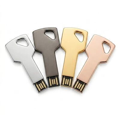 محرك أقراص فلاش USB مزود بمفتاح من سبائك الزنك مع خاصية التشفير، تصميم مخصص، مرحبًا بجهاز تخزين آمن ومتين ومثالي للأعمال