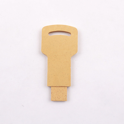 سترو وبلاستيك 128 جيجا بايت فلاش درايف ، مواد قابلة لإعادة التدوير Usb 2.0 Memory Stick